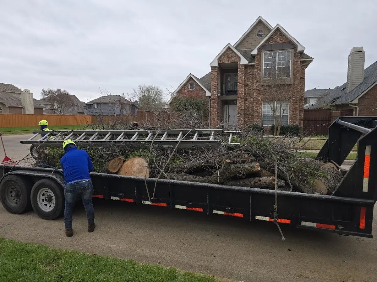 Expert Lot Clearing with proper safety equipment in Warm Springs